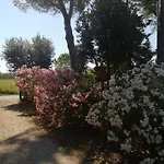 Holiday home Podere Simonetta - A2