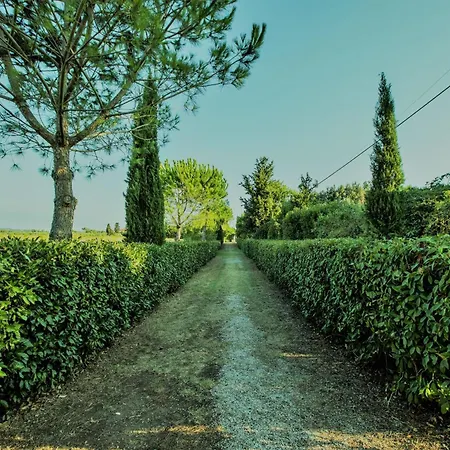 Podere Simonetta - A2 *
